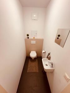 a bathroom with a toilet and a sink at Ursula Rosé Collection an der Donau in Vienna