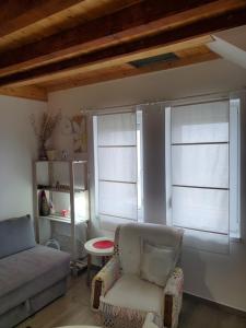 salon z kanapą i dwoma oknami w obiekcie Apartman Čaroban pogled Divcibare w mieście Divčibare