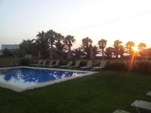 斯加雷塔的住宿－巴比斯酒店，一个带椅子和棕榈树的庭院内的游泳池