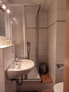 een badkamer met een wastafel en een douche bij Ritters Weinstuben in Merseburg