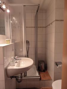 ein Bad mit einem Waschbecken und einer Dusche in der Unterkunft Ritters Weinstuben in Merseburg