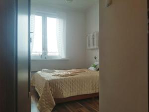 1 dormitorio con cama y ventana en Parkowy Apartment, en Bydgoszcz