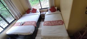 En eller flere senge i et værelse på Jungle Front Lodge