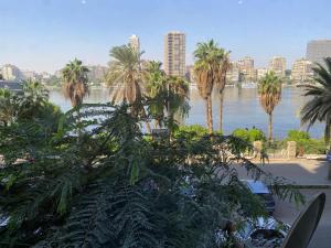una vista de un cuerpo de agua con palmeras en JAD Group Nile view en El Cairo