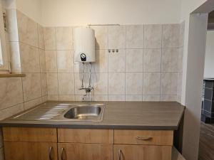 eine Küche mit einem Waschbecken und einem Licht an der Wand in der Unterkunft AMS The Gray in Spaichingen