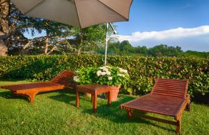 two benches and an umbrella in the grass with a table at Ristorante Albergo Ca' Vittoria in Tigliole