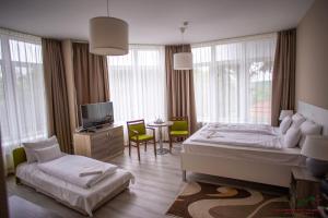 a bedroom with a bed and a tv and windows at Selfness Hotel Vadvirág Mátraszentimre in Mátraszentimre