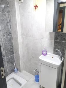 y baño con lavabo, aseo y ducha. en Mükemmel Konum'da Lüx Dairede Konaklama, en Sivas