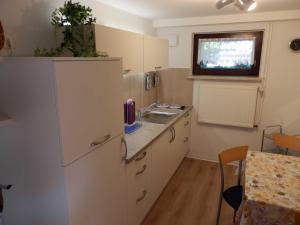 eine kleine Küche mit einer Spüle und einer Theke in der Unterkunft Ferienwohnung unweit der Müritz in Gotthun