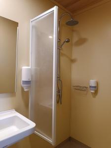 a shower with a glass door next to a sink at Motel 112 in Algora