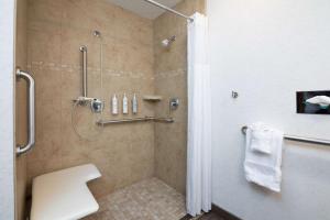 Koupelna v ubytování Hampton Inn Durango