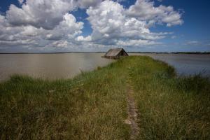 Природа в окрестностях апартаментов/квартиры