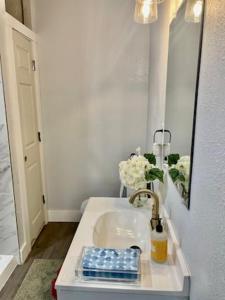 een badkamer met een wastafel en een spiegel bij Aunt Elaine's Downtown Cottage in Bastrop