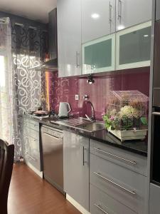 una cucina con elettrodomestici in acciaio inossidabile e pareti viola di Casa da Pontelha VILLA INN a Ponte de Lima Altre 22 foto