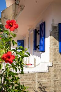 a house with blue shutters and a red flower at Liakos' Apartments in Vasiliká