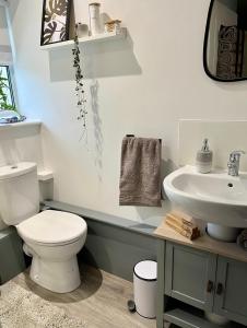 a bathroom with a white toilet and a sink at Beautiful Cottage Short Walk To Porth Beach in Newquay