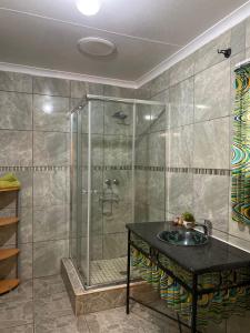 a bathroom with a shower with a sink at The Ultimate Lodge in Louis Trichardt