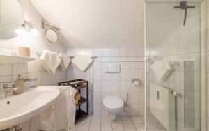 a bathroom with a toilet and a sink and a shower at Ferienwohnung Rauschbergblick in Ruhpolding +14 photos