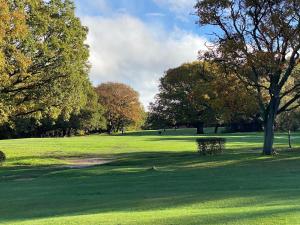 un campo de césped verde con árboles en el fondo en Forest Edge en Woodford Green