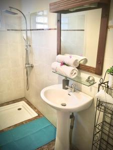 La salle de bains est pourvue d'un lavabo et d'une douche avec un miroir. dans l'établissement Saint Leu - Chambre 3 épis avec PDJ piscine en pleine nature vue mer - Bardzour, à Saint-Leu