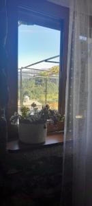 Φωτογραφία από το άλμπουμ του Point of view 1 στα Πράμαντα