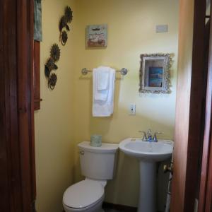 a bathroom with a toilet and a sink at The Austin Inn in Lake George +20 photos