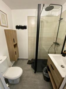 La salle de bains est pourvue d'une douche, de toilettes et d'un lavabo. dans l'établissement Studio centre-ville, à Montceau-les-Mines