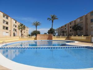 una gran piscina con palmeras y edificios en Spanish Connection - Oasis, en La Manga del Mar Menor