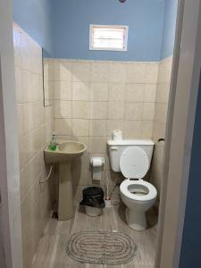 a small bathroom with a toilet and a sink at "Edificio Don Luis" en Bajada Vieja in Posadas