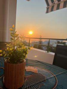 a plant in a vase on a table with the sunset at Alexandrin, superbe appt avec varangue et vue mer pour 3 personnes in Saint-Gilles les Bains