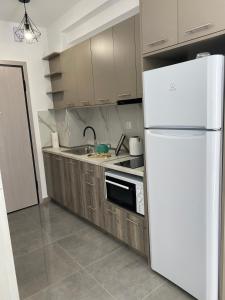 a kitchen with a white refrigerator and a sink at Kinfeels' apt ( PM2 ) in Larisa