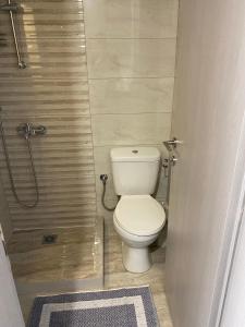 a small bathroom with a toilet and a shower at Kinfeels' apt ( PM2 ) in Larisa