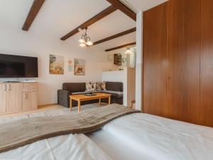 Televízia a/alebo spoločenská miestnosť v ubytovaní Apartment Sepp by Interhome