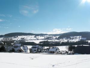 a group of houses on a snow covered mountain at Apartment Schwarzwaldblick I by Interhome in Bernau im Schwarzwald +32 photos