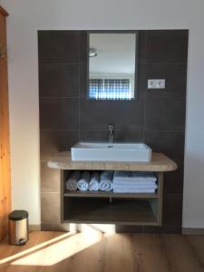 a bathroom with a sink and a mirror at Apartment Eisenhut - EBE500 by Interhome in Hüttau