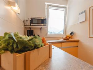 Kuchnia lub aneks kuchenny w obiekcie Apartment Martini by Interhome