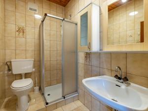 een badkamer met toilet, wastafel en douche bij Apartment Alpenrose Apartment 1 by Interhome in Dietrichstein