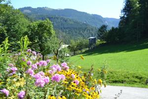 Paesaggio naturale nelle vicinanze dell'appartamento