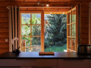 SaclentseにあるChalet Edelweiss by Interhomeのキッチン(大きな窓、カウンタートップ付)