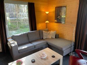 uma sala de estar com um sofá e uma mesa em Chalet Wilsumer Berge by Interhome em Wilsum