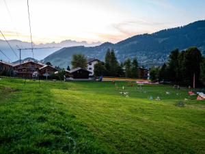 a group of people in a grassy field at Apartment Hyacinthe 14 by Interhome in Villars-sur-Ollon