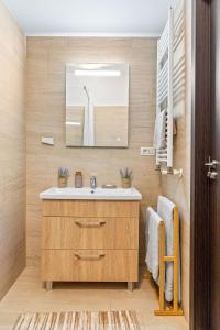 La salle de bains est pourvue d'un lavabo et d'un miroir. dans l'établissement Unirii Plaza Apartment, à Bucarest