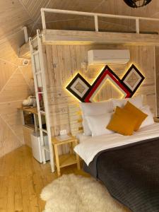 sypialnia z łóżkiem piętrowym i drabiną w obiekcie Honey dome w mieście Vizhenka