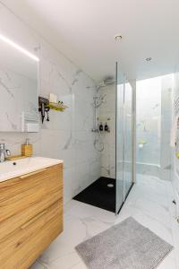une salle de bain avec une douche et un lavabo et une cabine de douche en verre dans l'établissement Petit arc en ciel, à Strasbourg 13 autres photos