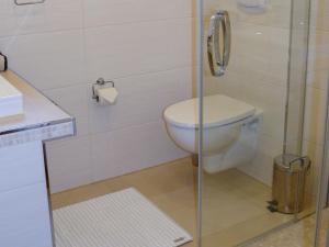 ein Bad mit einem WC und einer Glasdusche in der Unterkunft Ferienwohnung Zur Alten Böttcherei in Kröslin