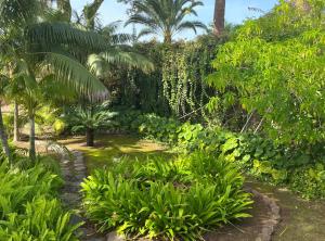 Ogród w obiekcie Villas la Gomera