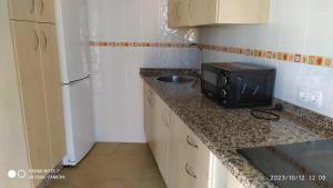 een kleine keuken met een wastafel en een magnetron bij Apartamento Montiel in Trigueros