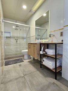 uma casa de banho com um chuveiro, um lavatório e um espelho. em Brand-new 2 bedroom apartment Sopocachi em La Paz