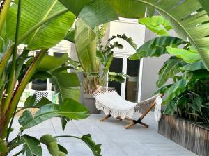 een veranda met een hangmat en grote groene planten bij Phoenix garden in Bergen