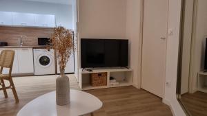 una sala de estar con TV y un jarrón sobre una mesa en Moderne & Lumineux - Hyper Centre, en Tournon-sur-Rhône